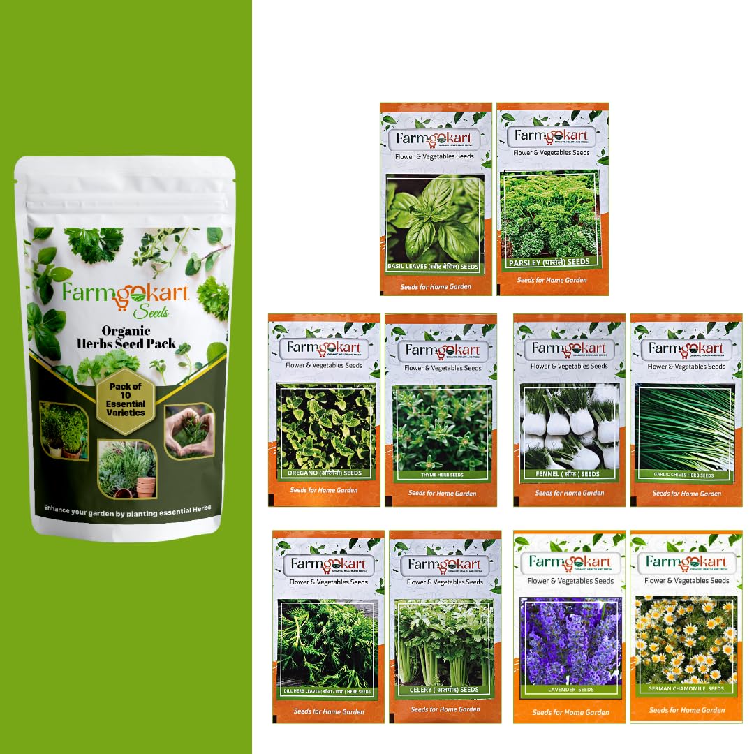 Farmgokart | Essentials Herb Growing Seeds - Pack of 10 Varieties | for Home Gardening | Grow your own Herbs