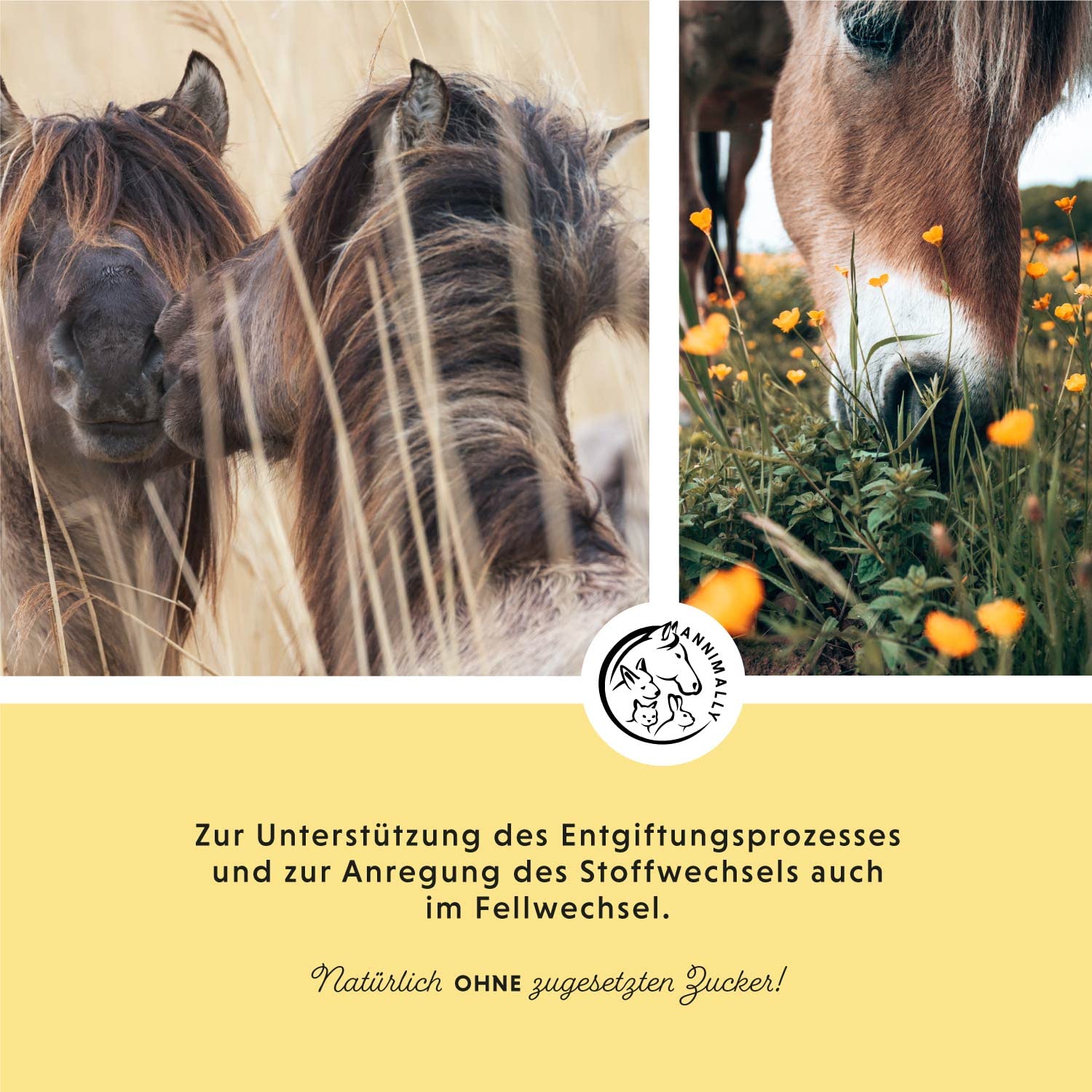 Annimally Leber Nieren Liquid für Pferde - 1000ml Kräutersaft mit Mariendistel & Artischocke für die Leber - Nierensaft für einen gesunden Stoffwechsel beim Pferd