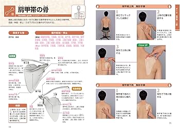 運動・からだ図解 骨・関節・靭帯・神経・血管の触診術の基本【新版