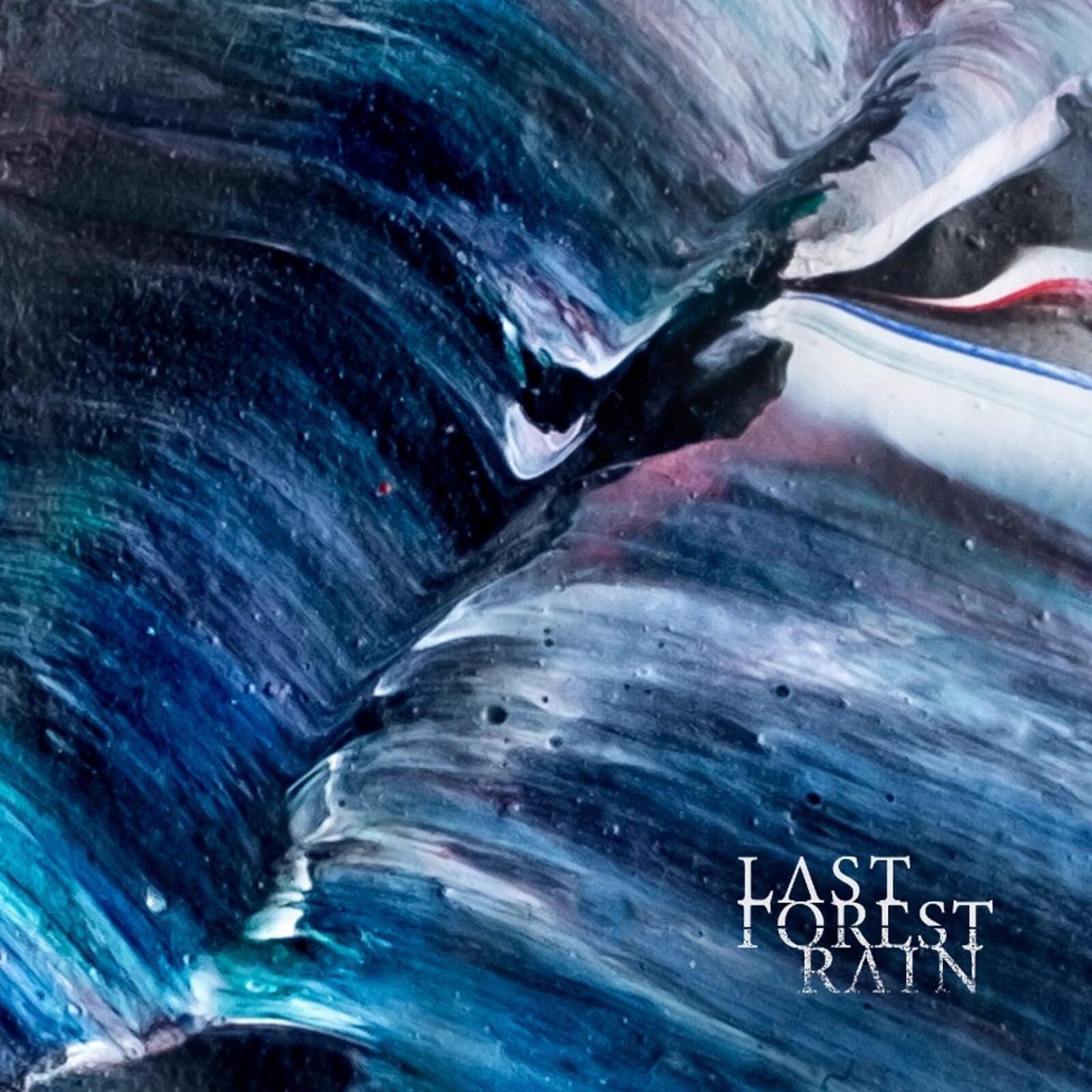 Last Forest Rain