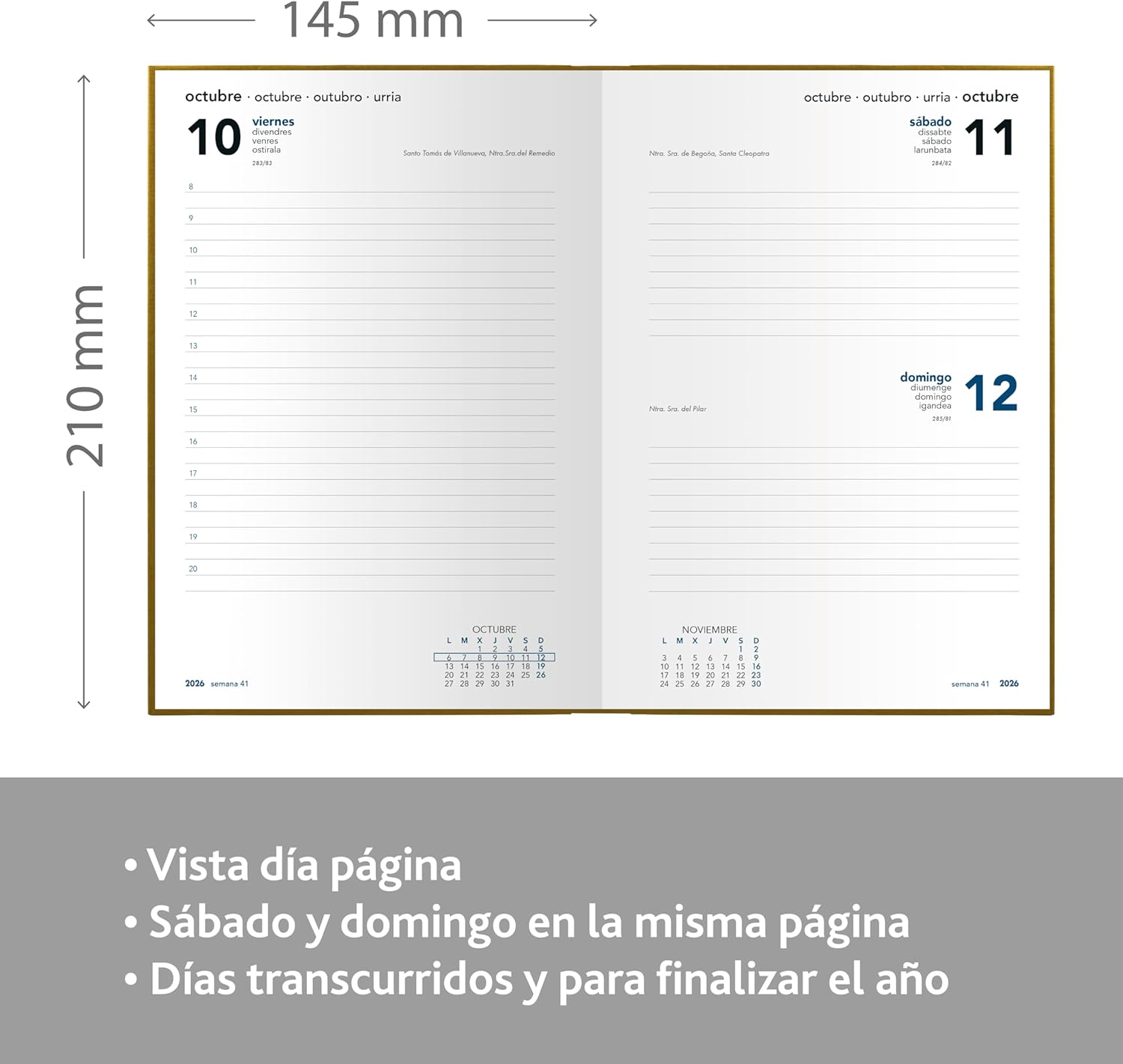 Grafoplas 2026 Year Planner Day to View Florence Garnet 14.5 x 21 cm Padded Vinyl Cover Vertical Closure Reading Point Annual Perfect for Office Organization