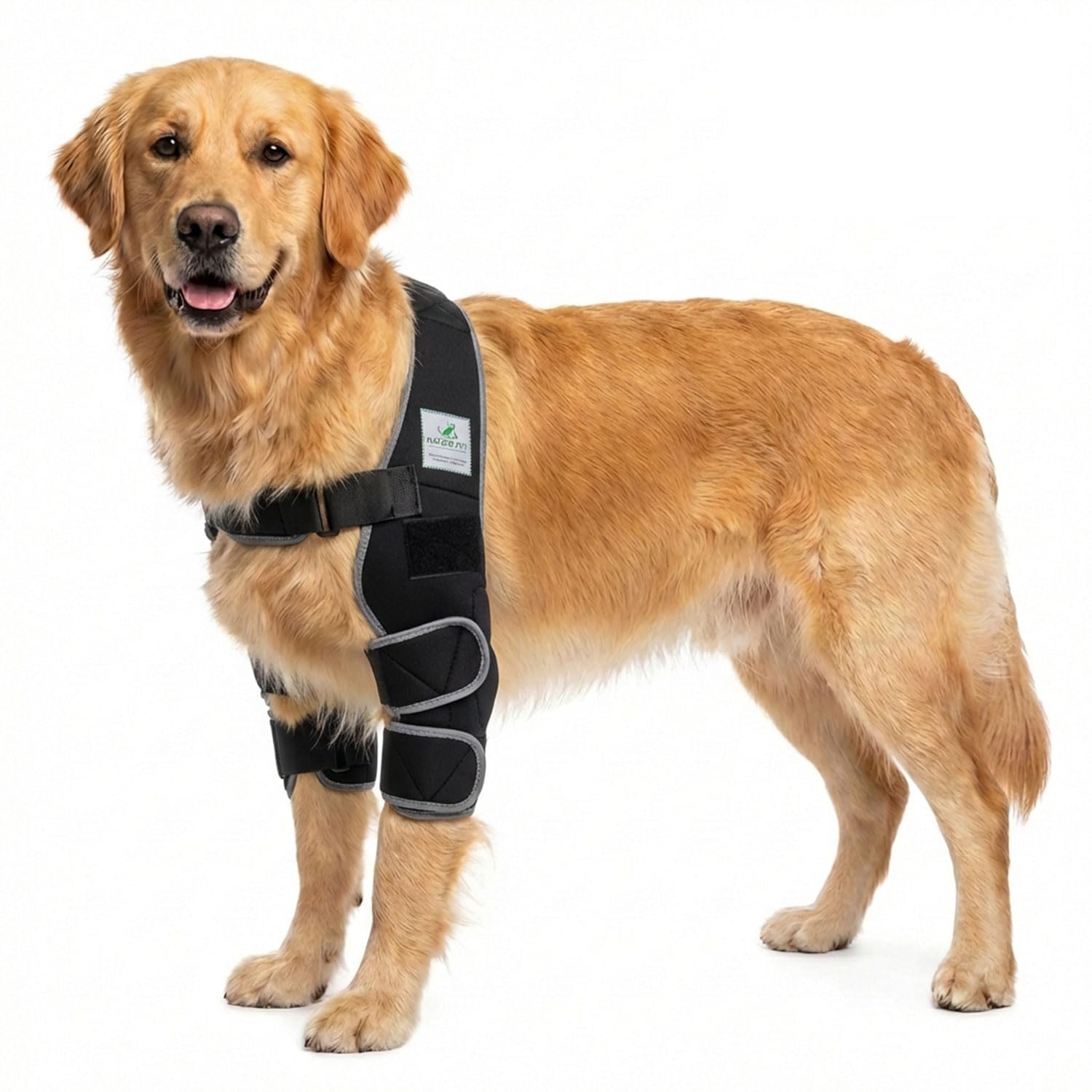 Dog Lying Callosity Bandage/Dog Elbow Bandage/Dog Hygroma Bandage (Black, M)