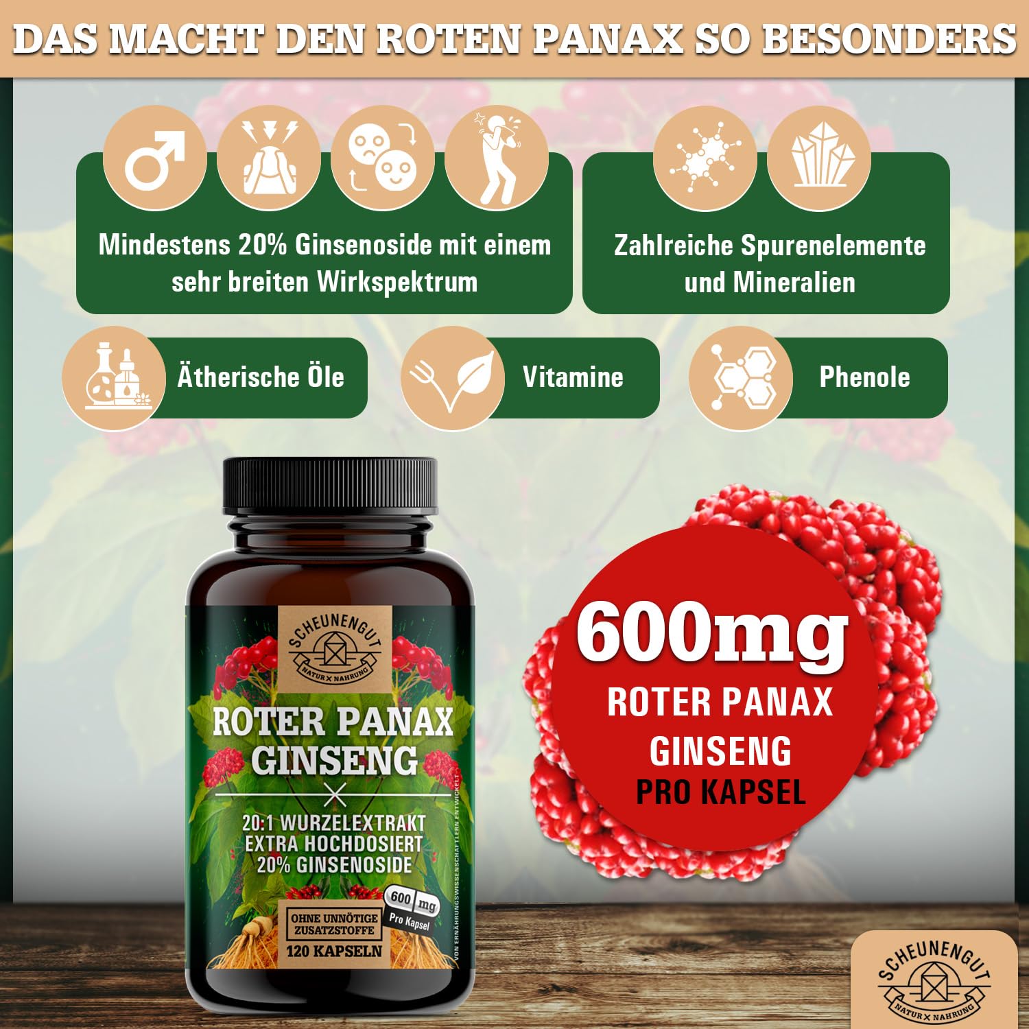 Roter Panax Ginseng Kapseln -Hochdosiert- 20% Ginsenoside DE SCHEUNENGUT® | WICHTIG: 20:1 Roter Panax Extrakt (=36000mg Ginsengwurzel je Tagesdosis) - Ginseng Kapseln Hochdosiert- Vegan