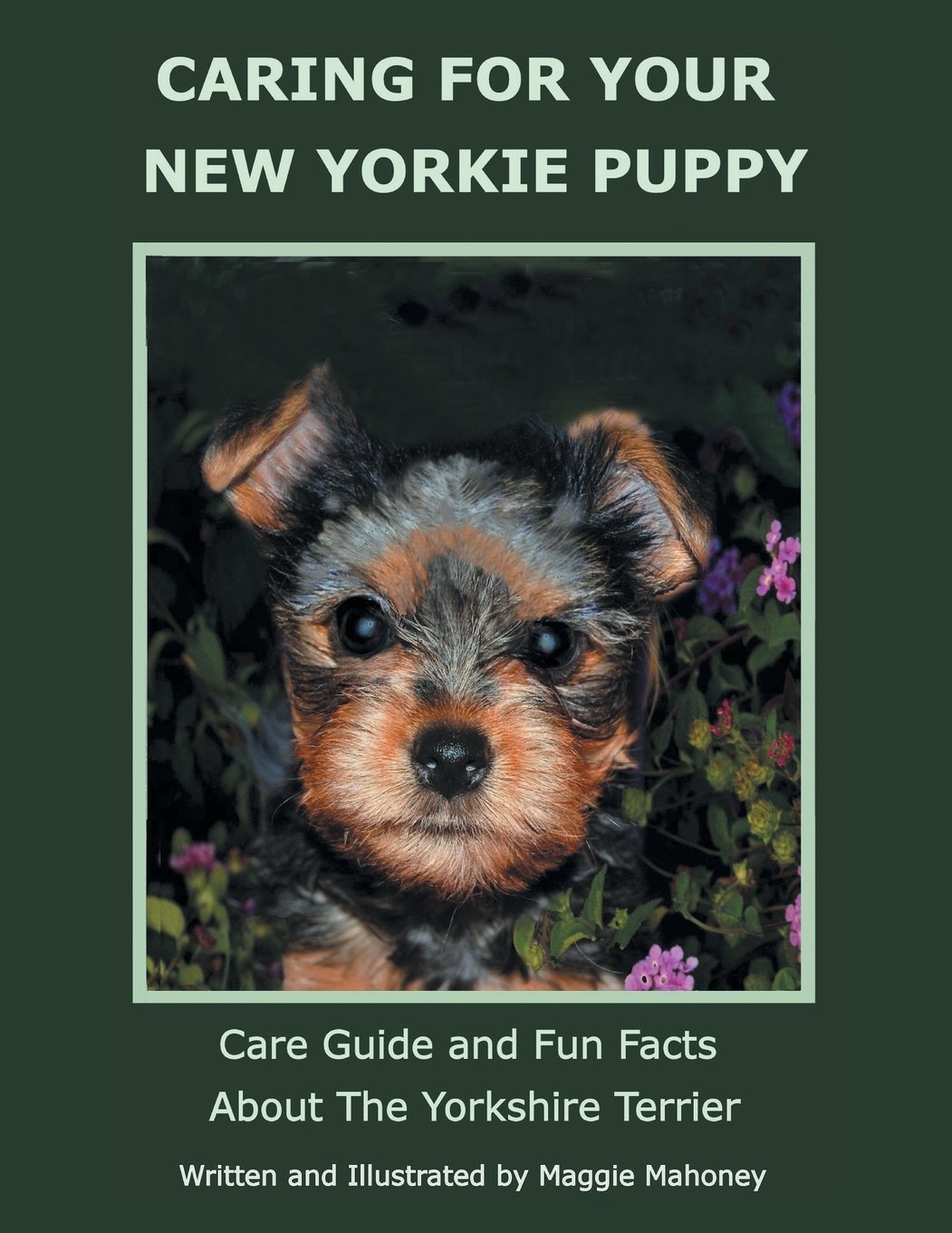 Buy Caring for Your New Yorkie Puppy Care Guide and Fun Facts about