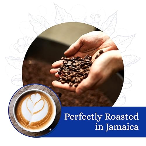 Miniatura 3 de Cafe Blue - 100 auténtico café Jamaica Blue Mountain de Clifton Mount Estate café de grano entero de tostado medio granos de café arábica premium