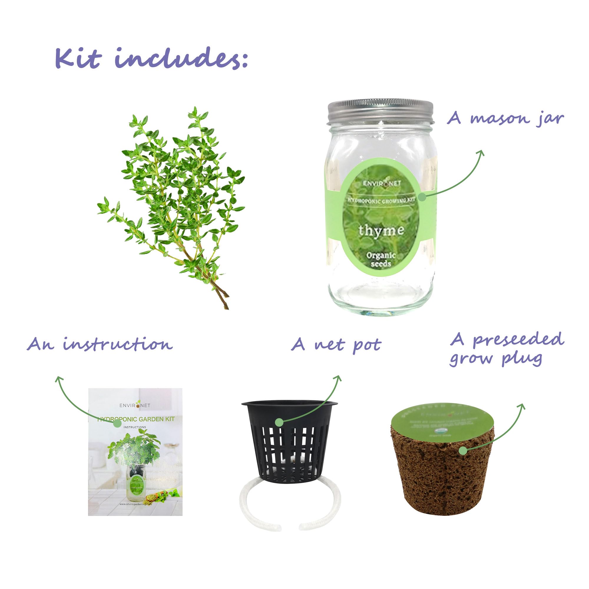 Kit de culture hydroponique d'herbes aromatiques, pot Mason auto-arrosant, kit de démarrage pour l'intérieur, fenêtre d'herbes et de jardin, cultivez vos propres herbes à partir de graines