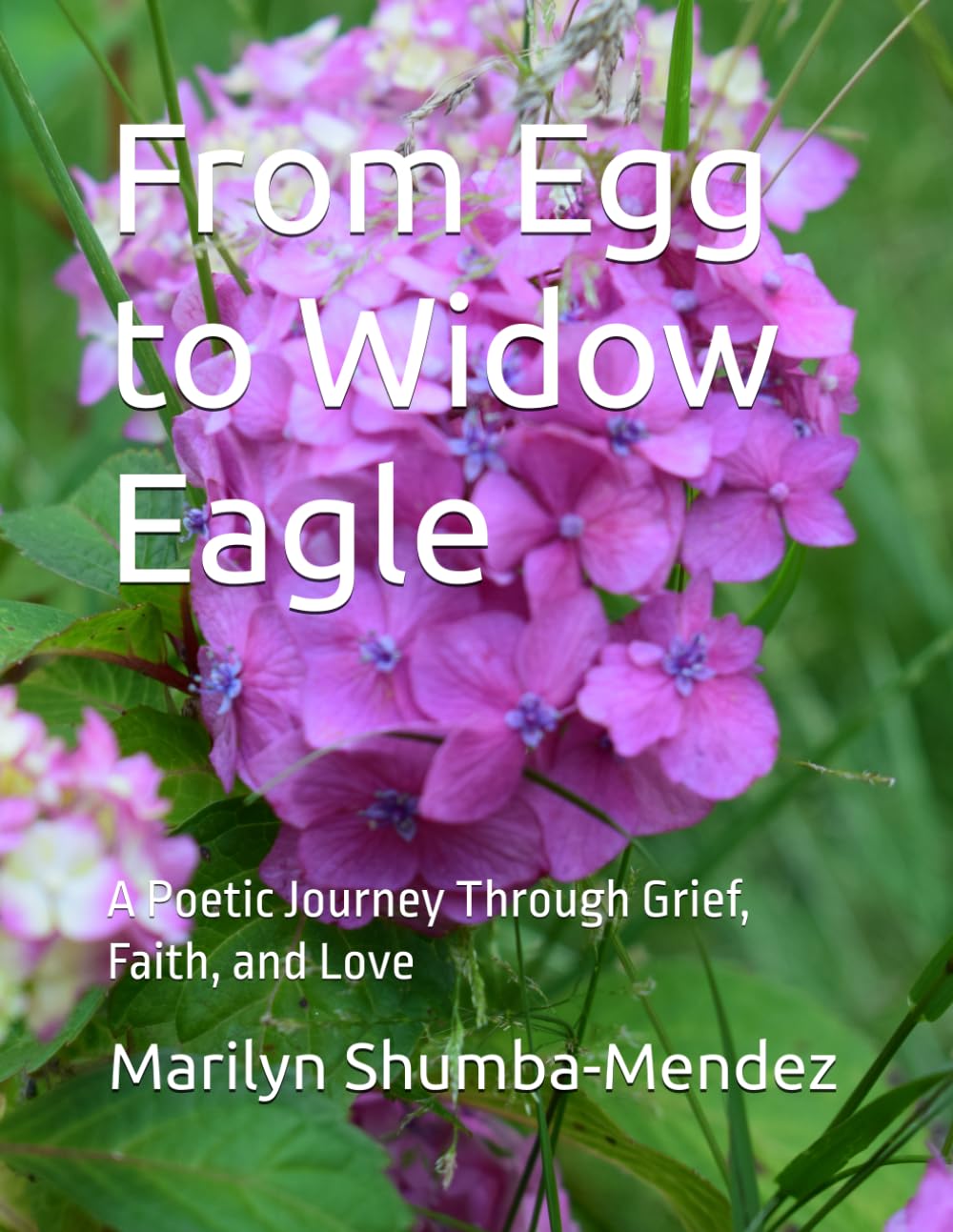 From Egg to Widow Eagle: A Poetic Journey Through Grief, Faith, and Love