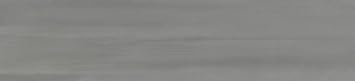 ASIN B08JMSGT71 Silhouette Shadow 2.76 inch x 11.81 inch Matte Porcelain Bullnose Tile 1 Piece