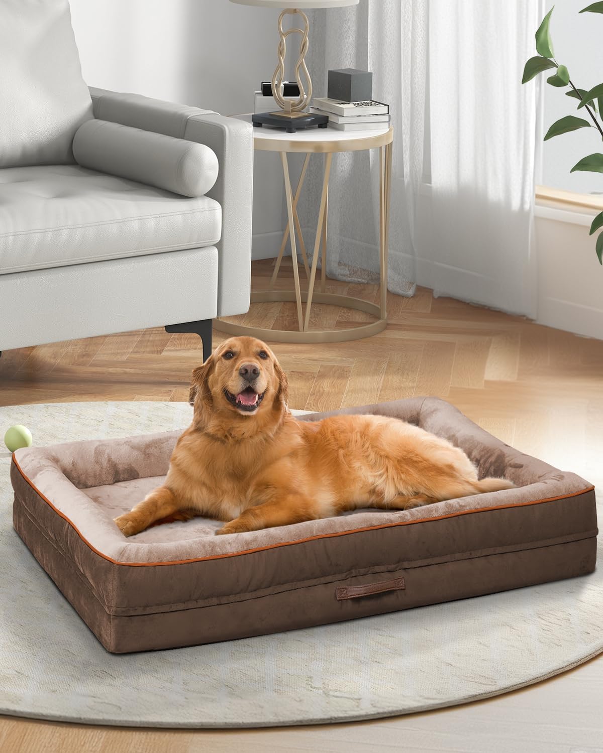 X-Large Orthopedic Dog Bed