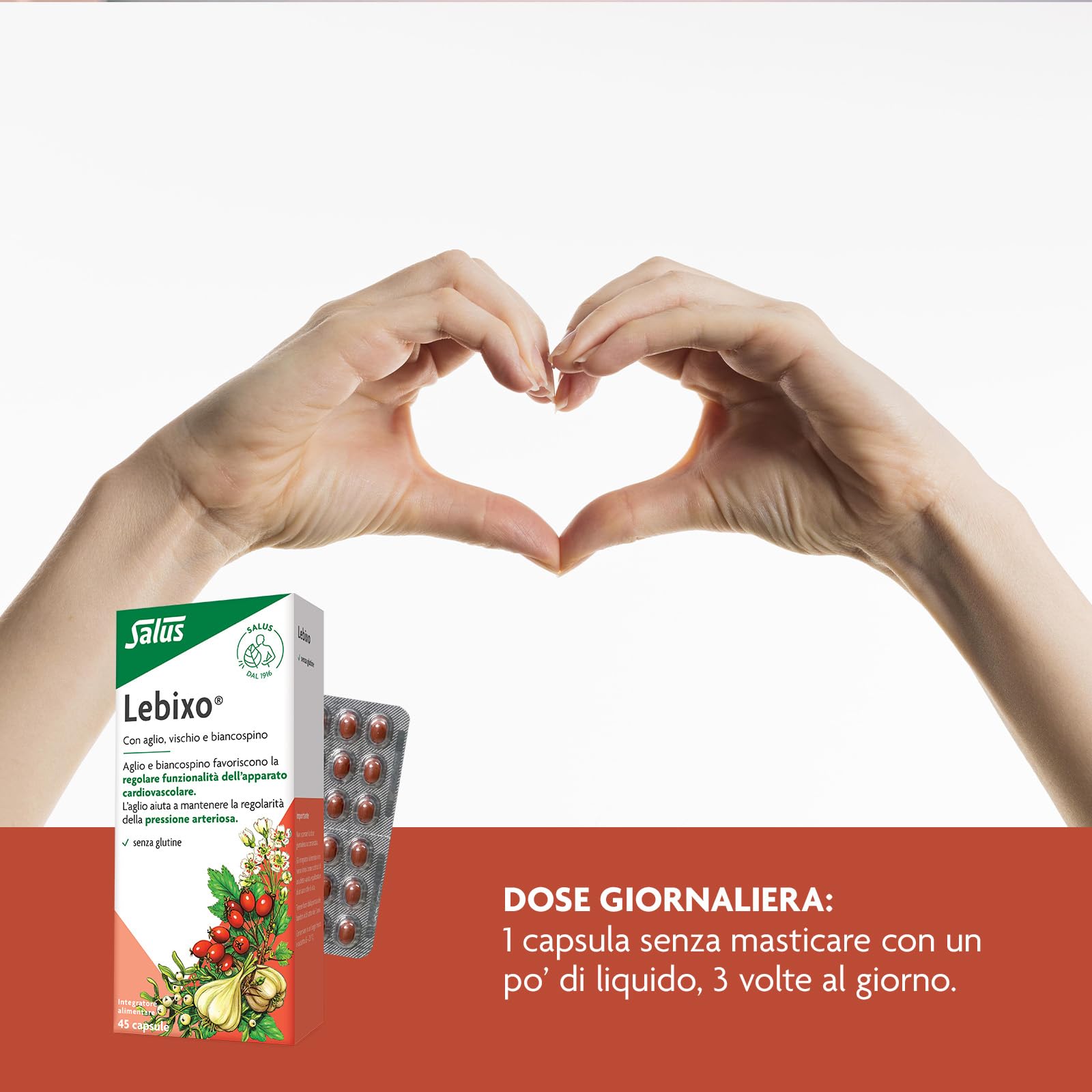 Salus Lebixo - Integratore Alimentare per la regolarità cardiovascolare e della pressione arteriosa, a base di Aglio, Vischio e Biancospino - 45 Capsule