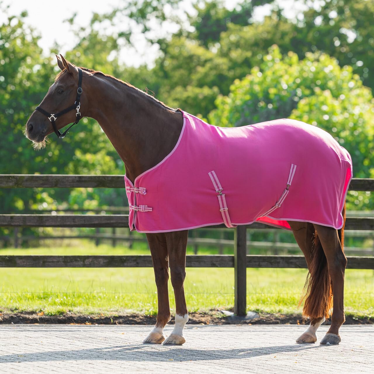 netproshop Basic Pferde Abschwitzdecke mit Kreuzbegurtung Fleece Qualität Gr. 105-155, Groesse:105, Farbe:Pink