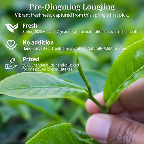 Miniatura 2 de CHADUODUO 2025 Longjing Pre-Qingming Dragon Well Té verde Hoja suelta Chino Mingqian Long Jing Nuevo Té de primavera Aroma de frijol rico de primer