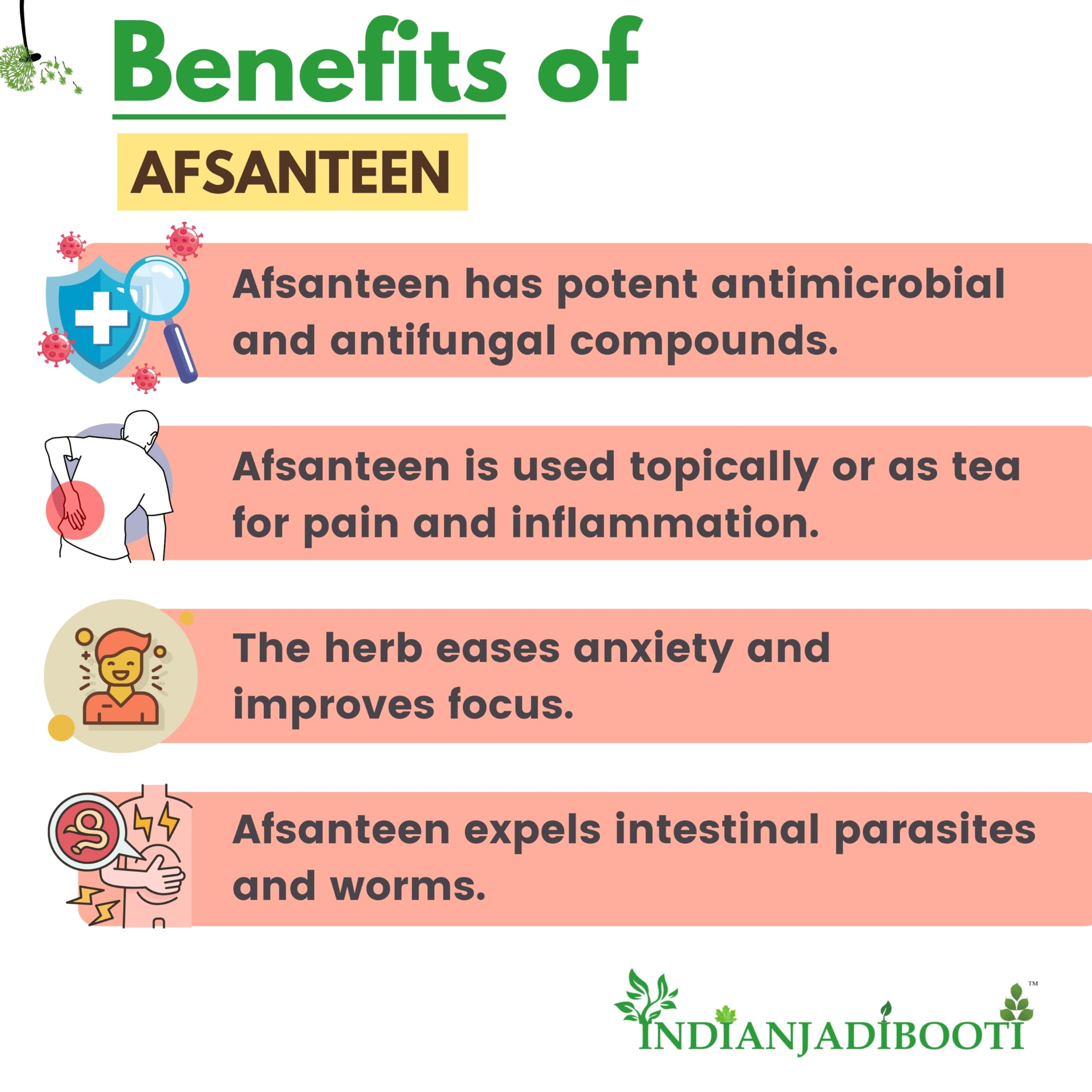 IndianJadiBooti Afsanteen Artemisia Absinthium, 250 Grams Pack - Image 3 thumbnail