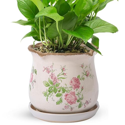 Ceramic-Planters-for-Indoor-Plants with Saucer, 6 inch Vintage Ice Crack Glaze Plant