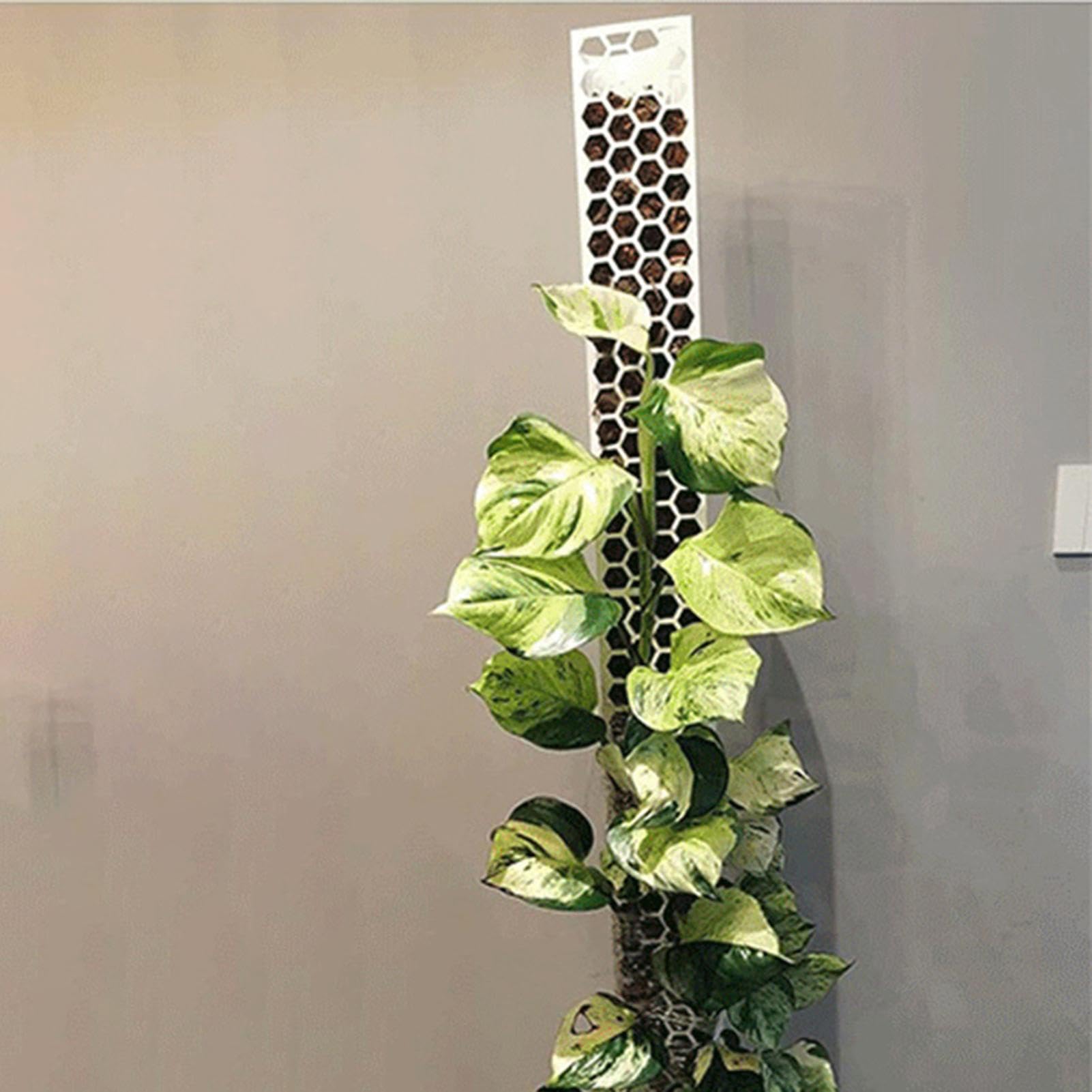 Poteau De Monstera Tuteur En Mousse | Support pour s grimpantes Destiné Aux Passionnés De s Cultivateurs Balcon Bureau À Domicile Café Appartement Salon Chambre