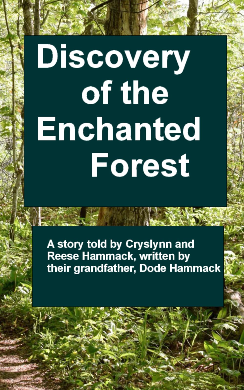 Discovery of the Enchanted Forest