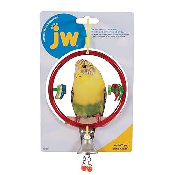 JW Pet Activitoy Bird Toy Ring Clear