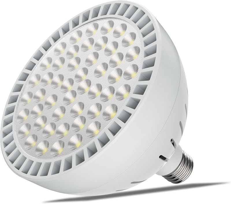 65W LED Pool Light Bulb for inground Pool - White and Blue Pool Bulb Replacement for 500W Pentair Hayward Pool Light Fixture 120V