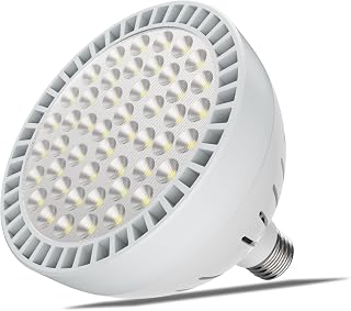 65W LED Pool Light Bulb for inground Pool - White and Blue Pool Bulb Replacement for 500W Pentair Hayward Pool Light Fixture 120V