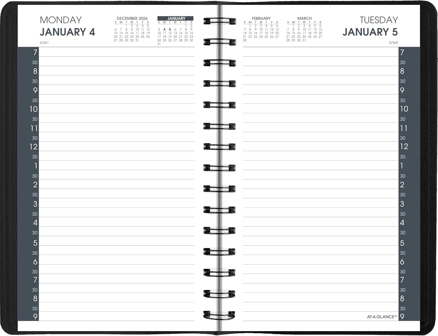 AT-A-GLANCE 2027 Appointment Book Planner, Daily, 5" x 8", Half-Hour, Black (702070527)