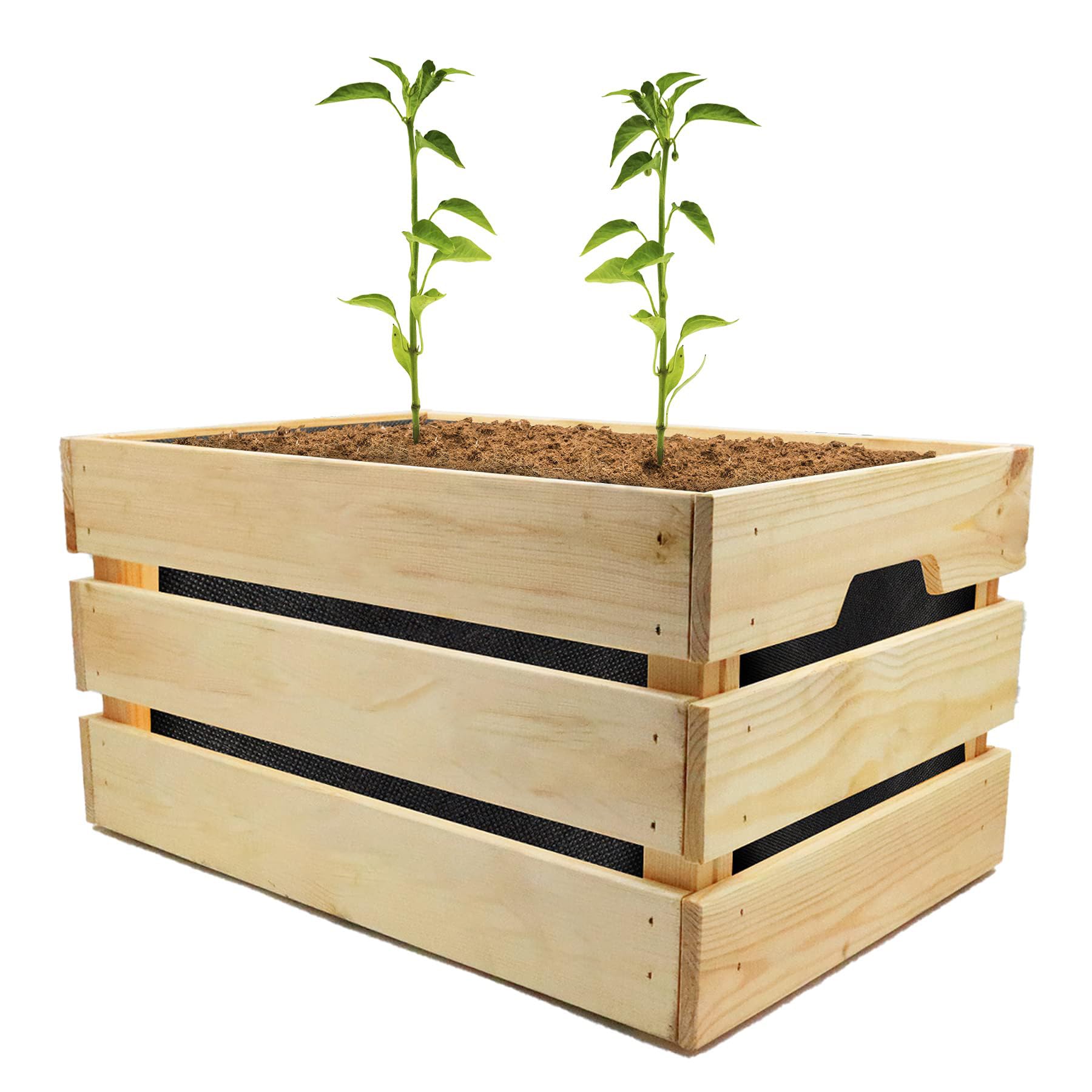 PLANTAWA Kit de Cultivo, Huerto Urbano para Plantar en Casa, Kit de Cultivo Completo, con Semillas de Plantas de Interior, Fabricado en España, Ecológico, Mini huerto niños