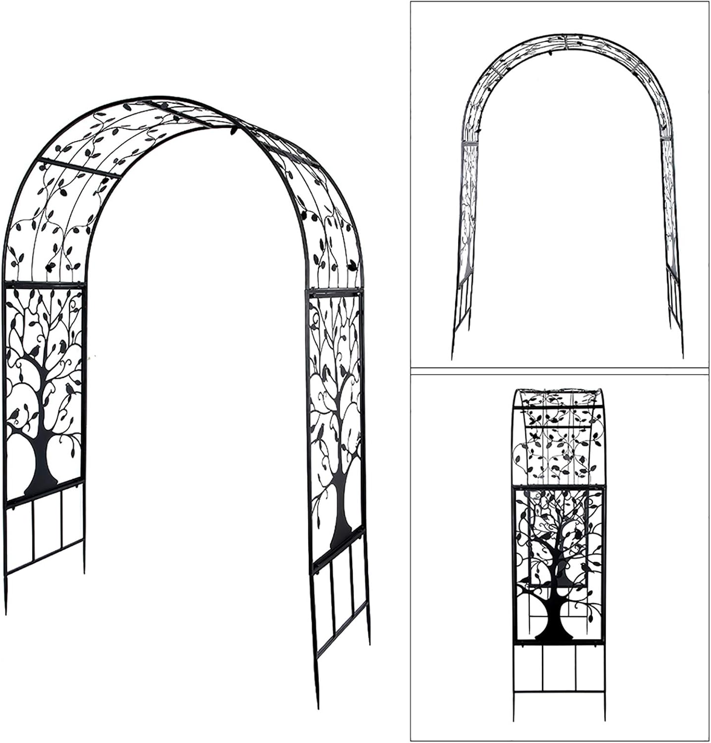 アエオニウム 玉兎錦④⭐️レア品種
