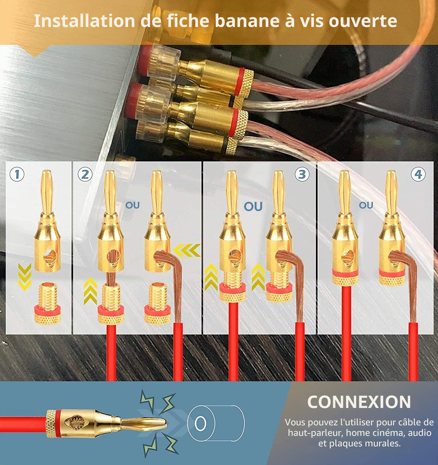 Greluma 10 Pièces Fiches bananes pour haut-parleur, fiches de haut-parleur 4 mm, connecteurs de câble de haut-parleur pour fil de haut-parleur, cinéma maison, plaques murales