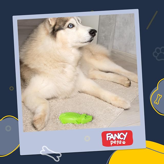 Foto 5 de 7 de FANCY Pets Cocodrilo de Juguete para Perro Indestructible 15.5 cm - Juguete Mordedor para Perro y Cachorro