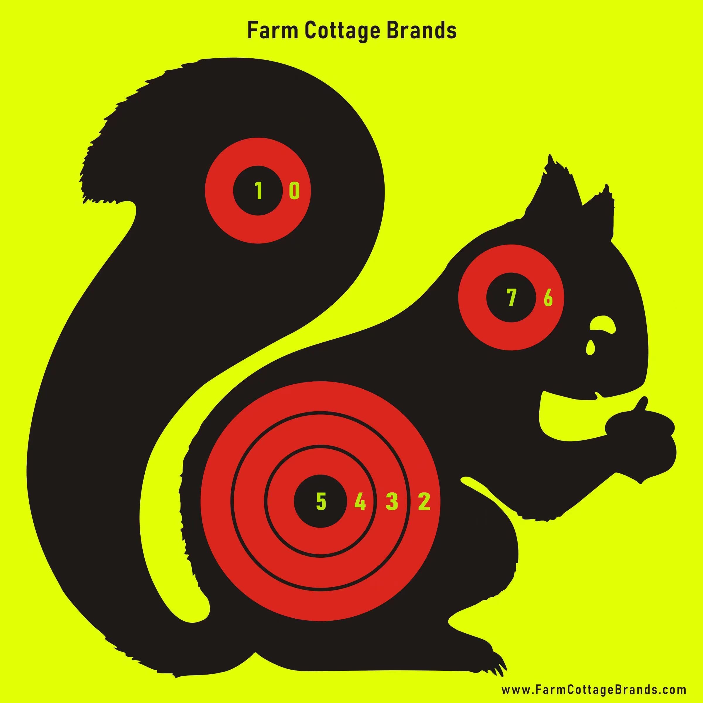 Pack of 10 SQUIRREL 8" square Stick and Splatter sheets - Adhesive splatterburst Shoot-N-C Shooting Targets. Practise your vermin control. For .22 rifles, air rifles, air pistols, AirSoft & BB guns