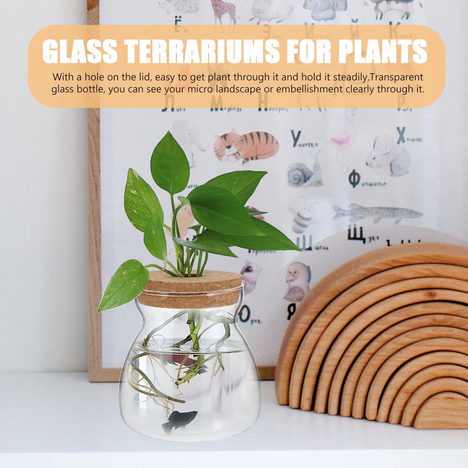BESPORTBLE Terrario de Vidrio Recipiente de Madera y Vidrio para Plantas Hidropónicas Micro Paisaje Adecuado para Decorar Oficina o Dormitorio