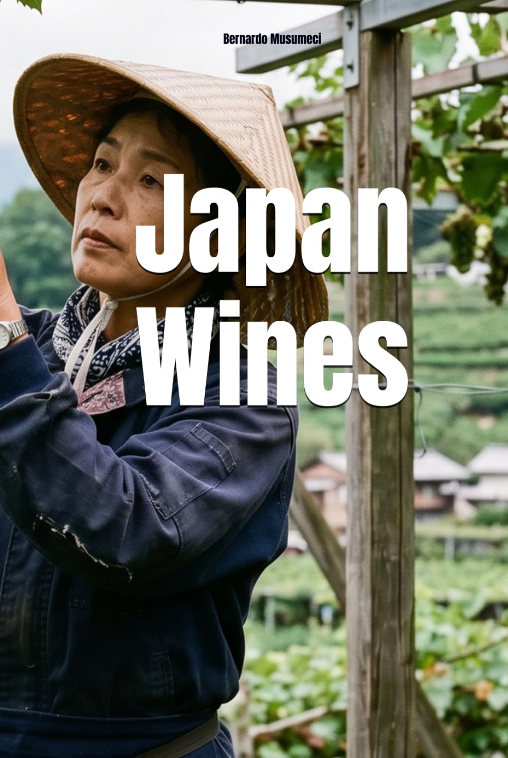 Japan Wines (Wines of the World)
