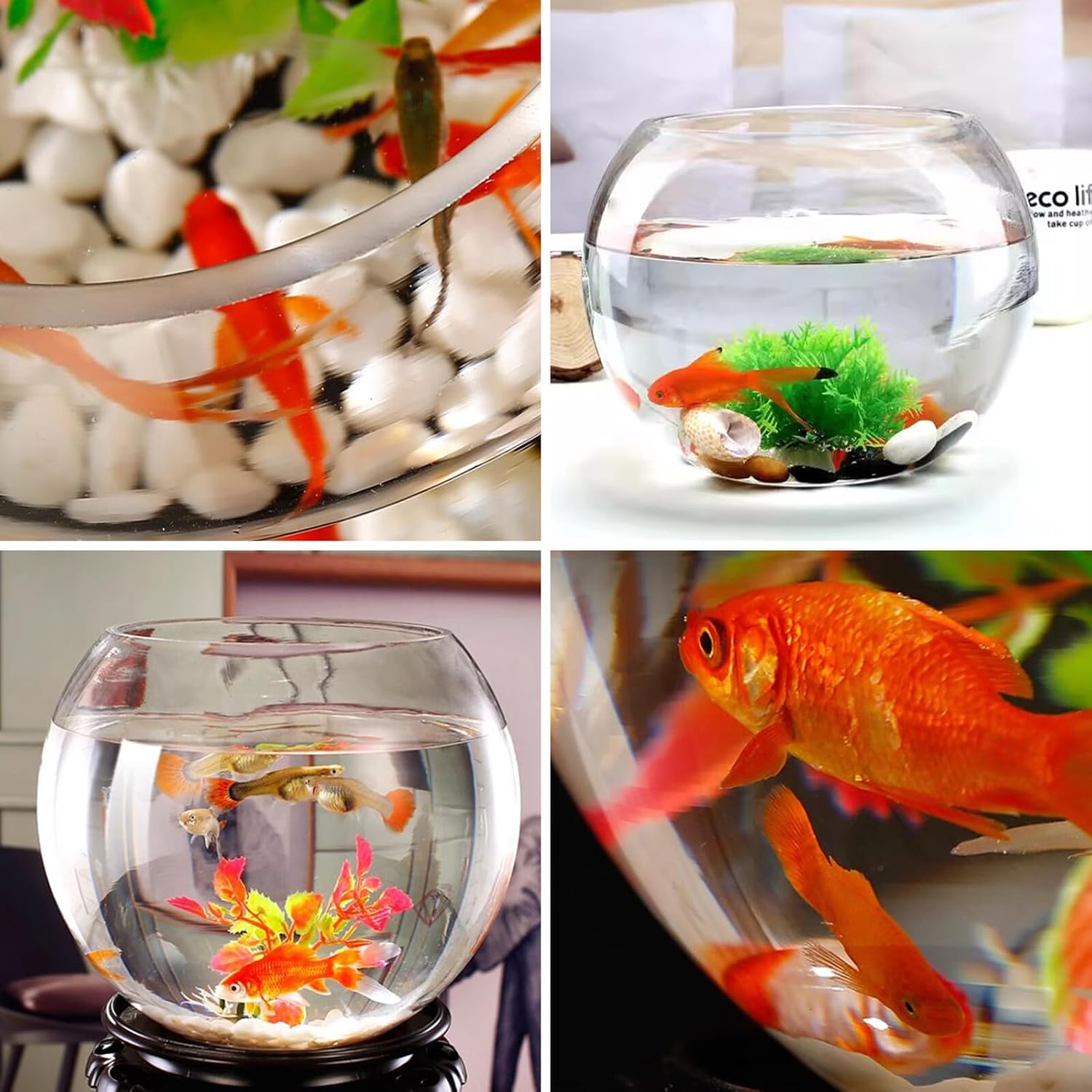 SUPVOX Glass Fish Bowl Aquarium 20cm Globe Fish Tank for Office Desktop with Hydroponic Plant Use Decorative Glass Goldfish Bowl