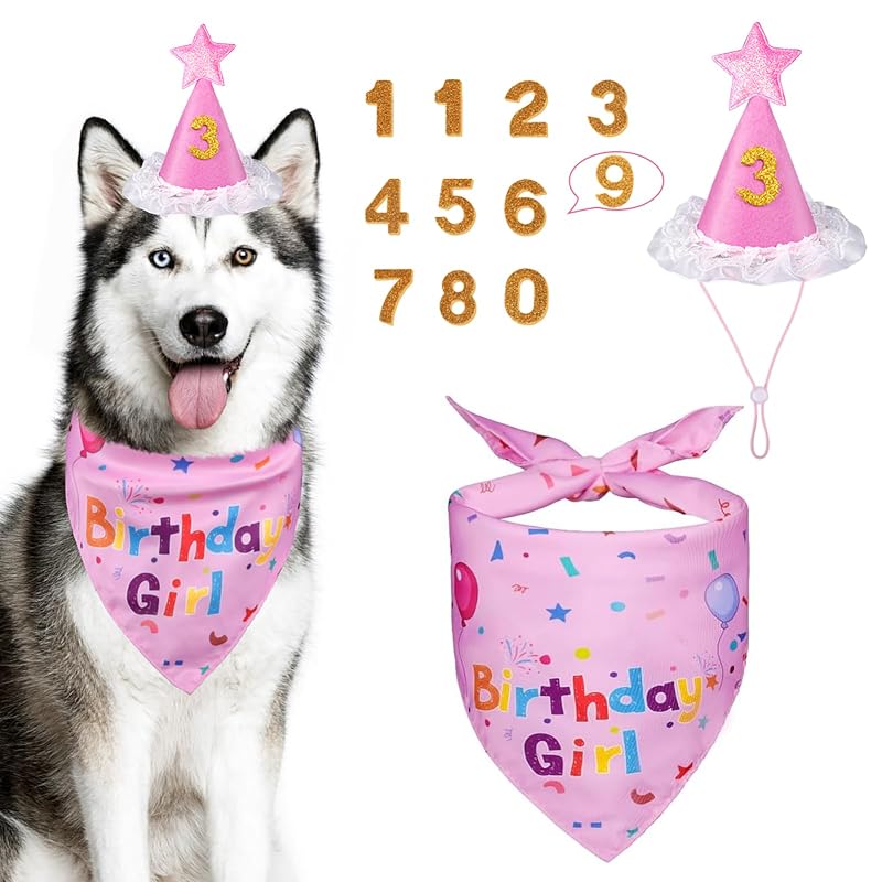 Kit Chapéu e Bandana de Aniversário para Cães Yicostar Rosa X-Large