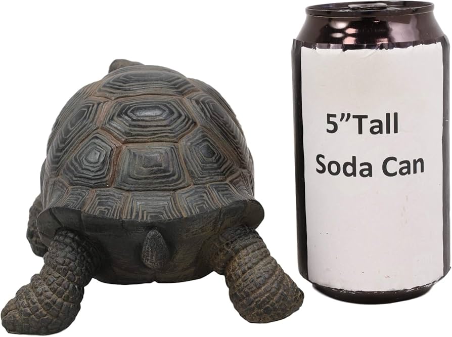 Amazon.co.jp: Ebros 本物そっくり ガラパゴス べっ甲像 幅6.5インチ