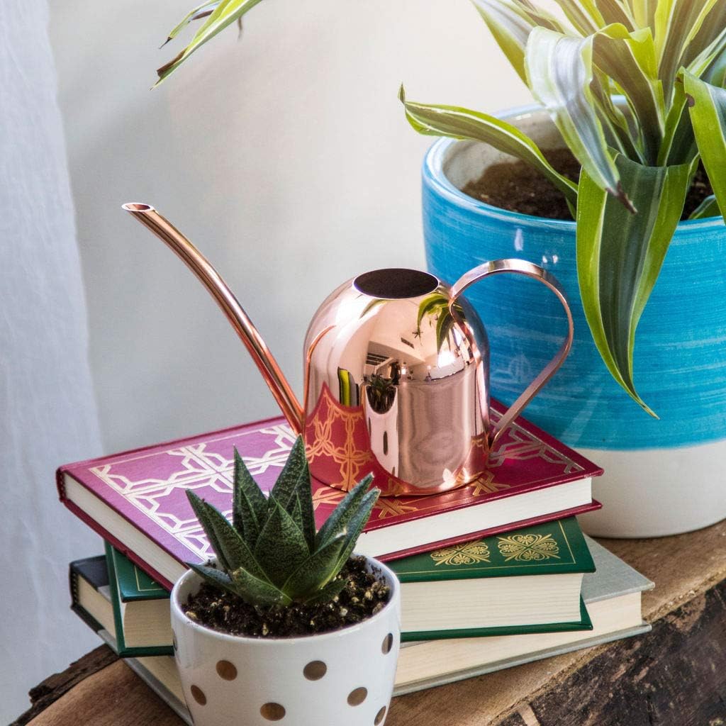 Smouldr Mini Plant Watering Can Indoor: Rose Gold Small Watering Can Helps You Water Tiny House Plants, Succulents, Bonsai or Herb Gardens - Steel Plant Waterer for Miniature Flower Pots - 15 Ounces : Patio, Lawn & Garden