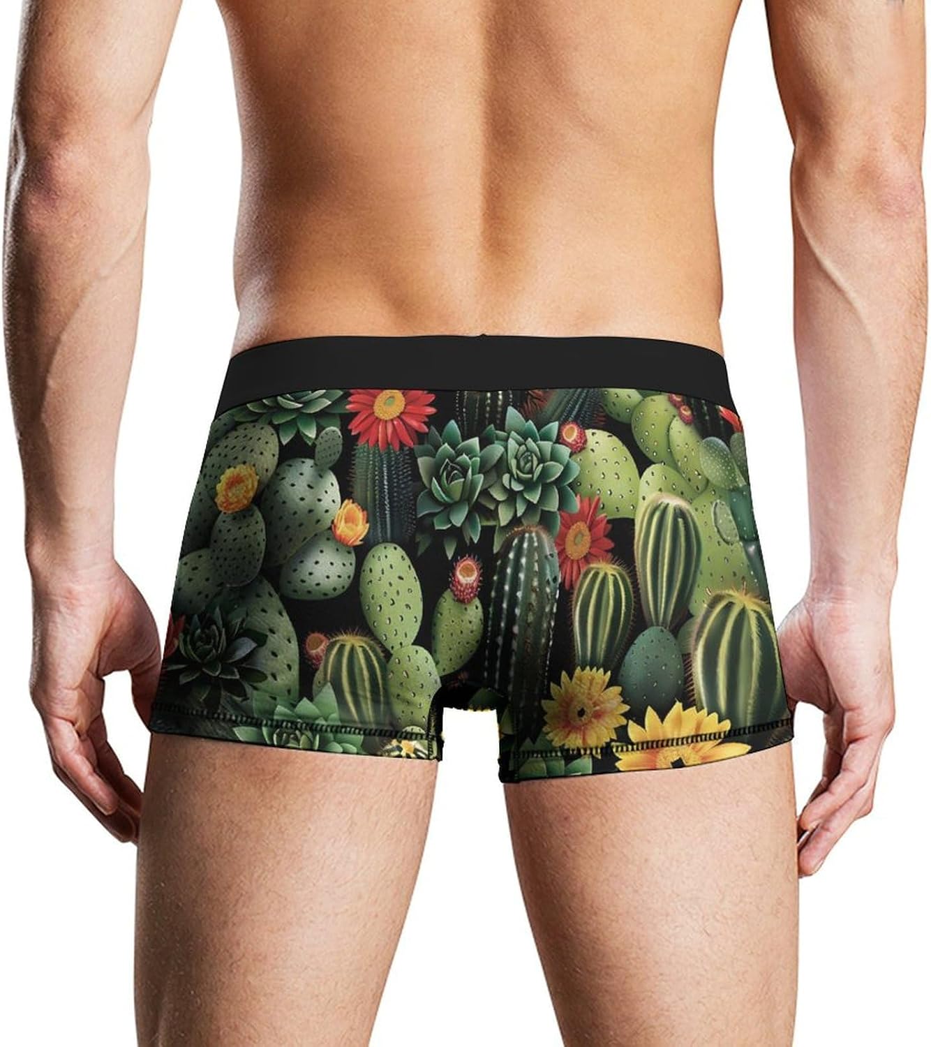 Cactus Plants Novelty Men's Trunks Soft Breathable Underwear Patterned Stretch Briefs
