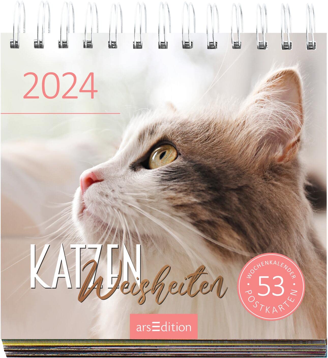 Display Postkartenkalender 2024: Mit 20 x 3 Ex. | Wochenkalender 2024, 53 Postkarten zum Abtrennen und Verschicken