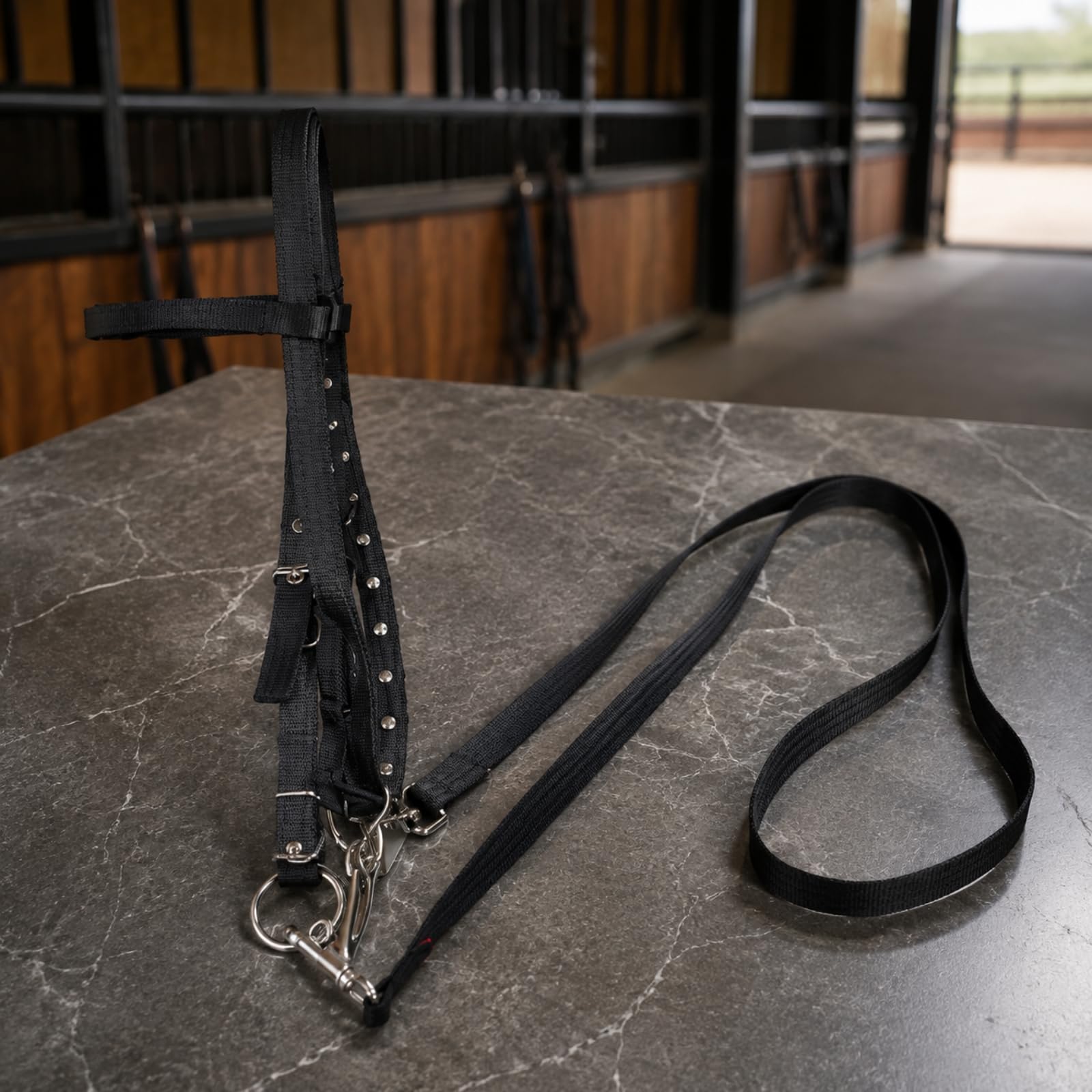 Almencla Set di Redini E Cavezza in Nylon con Morso in Metallo per Adatto per Equitazione Addestramento E Scuola