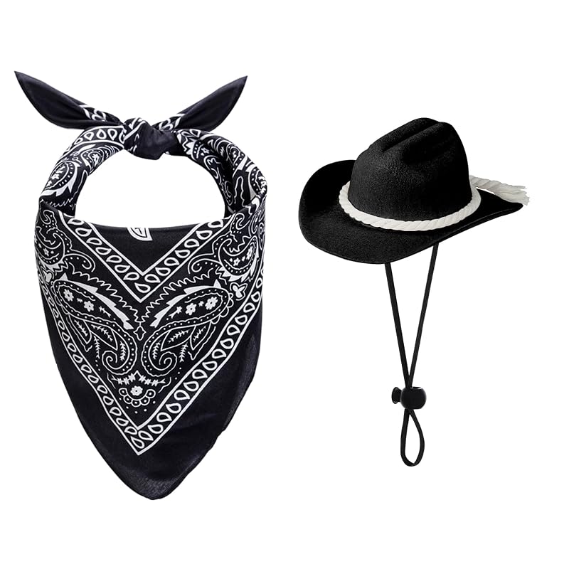 Fantasia de Cowboy para Cães e Gatos choyaxo com Chapéu e Bandana, Preto, Médio, Pacote com 2 peças