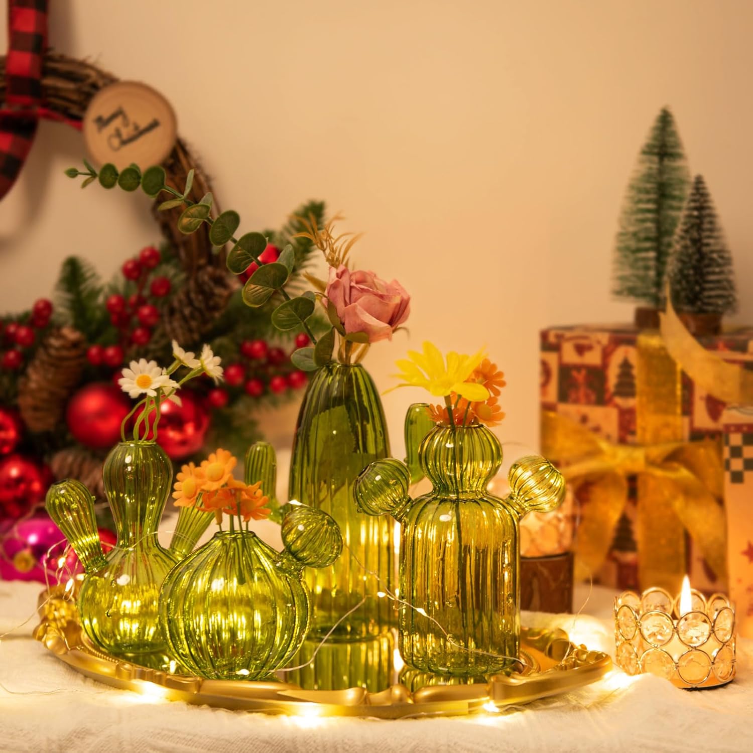 XXXFLOWER Cactus Plant Propagation Station Terrarium Jars for Plant Cuttings Air Plant Holders Unique Glass Flower Vase for Hydroponics Plants for Plant Lovers Home Garden Decor