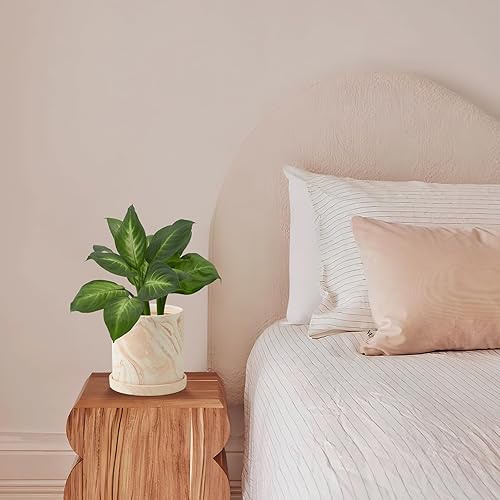 Miniatura 6 de Maceta de 5 pulgadas, macetas de terracota para interiores, recipientes modernos para suculentas con orificio de drenaje y platillo, para decorar el