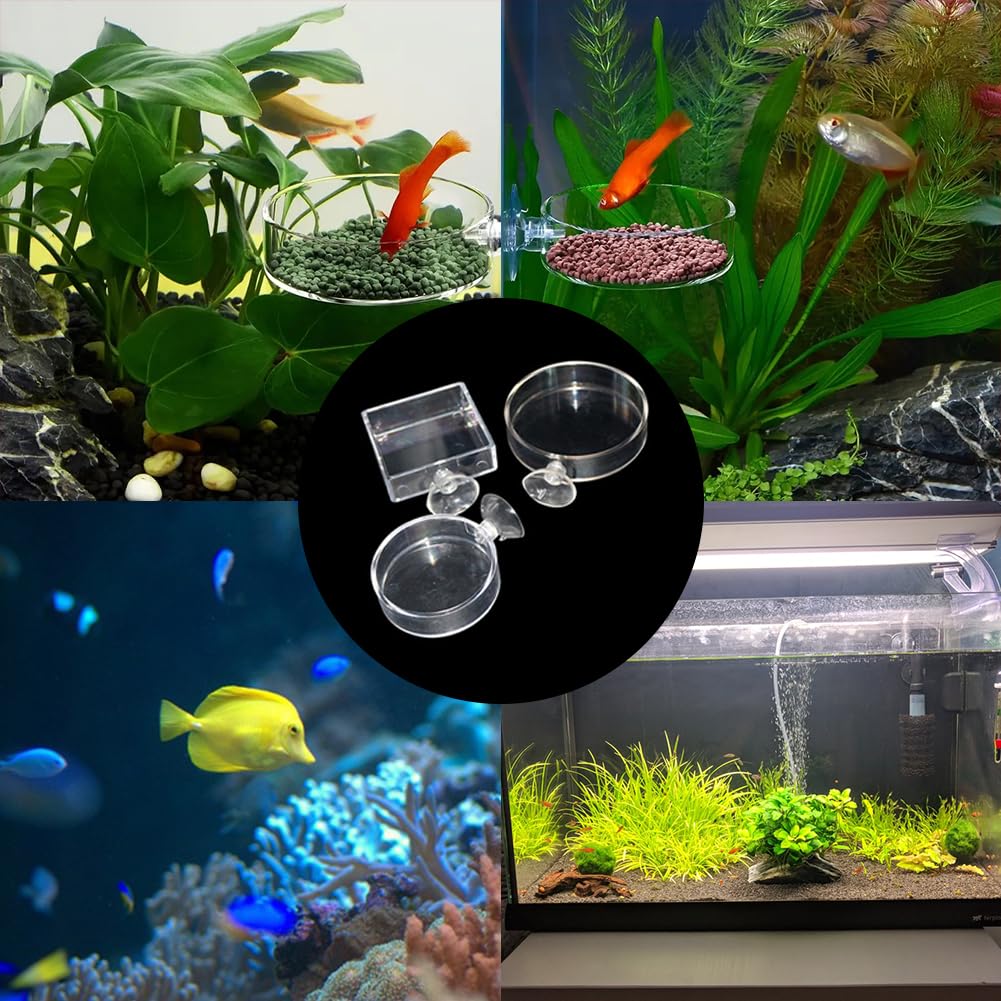 Aquarium Futternapf,Aquarium Futterschale,3 Stück Aquarium Garnelen Feeder,Fisch Garnelen Futternapf,Acryl Klar Garnelen Futternapf Tank Futternäpfe Mit Saugnapf,Futterschale Für Garnelen Im Aquarium