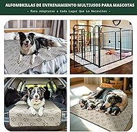 Vista 6 de FXW Almohadillas lavables para orina para perros, almohadillas para cachorros con súper absorción, diseñadas específicamente para FXW