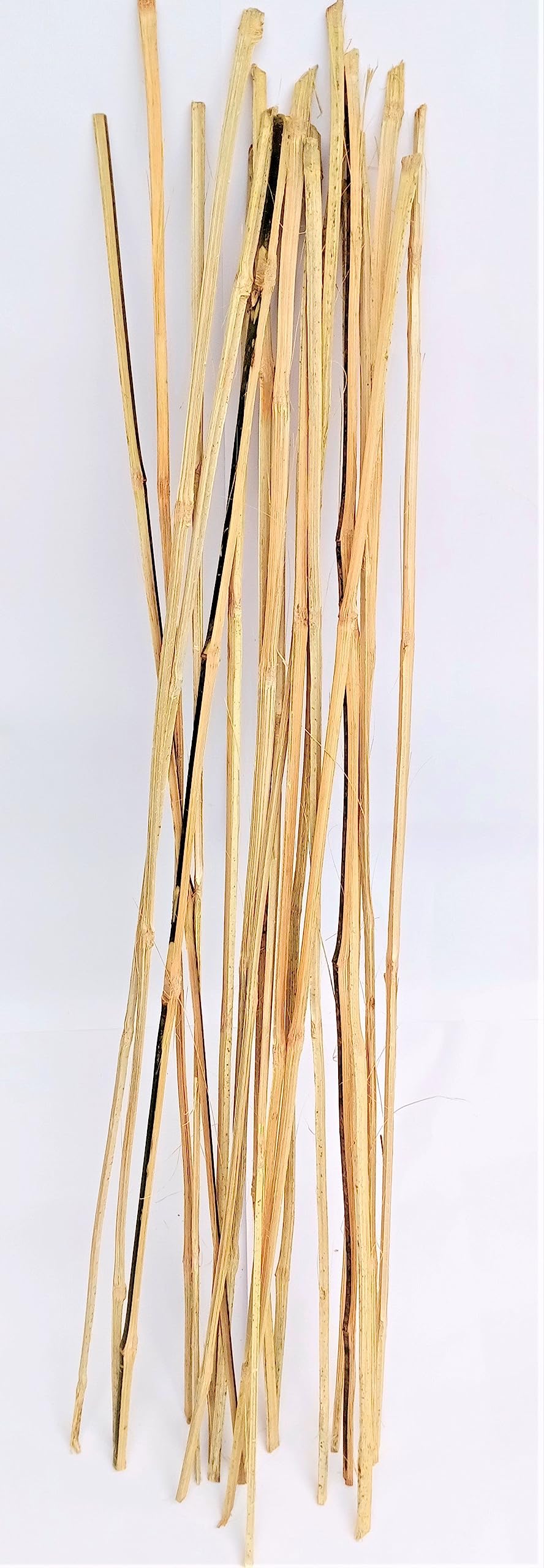 Thin Bamboo Sticks Plant Support, 2.5 feet Sticks (14 Sticks)-image-30
