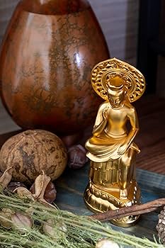 71ToT6n-oCL._AC_UF350,