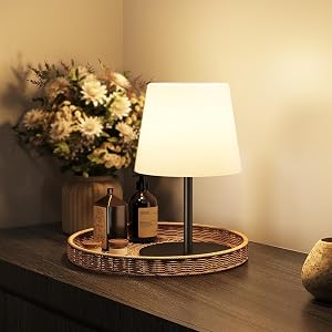 EZVALO Outdoor Cordless Table Lamp, IP65 Waterproof 4000mAh Rechargeble Shower Lamp, Dimmable Touch Lamp, LED Night Light Lamp for Bathroom Patio Camping Restaurant Home 1 Pack (Black)