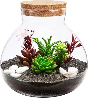 12 Cactus Planter Ideas for Low Maintenance Outdoor Style 90 Round Glass Jar Terrarium Succulent Plant Terrarium Ball Bud Vases Jars ...