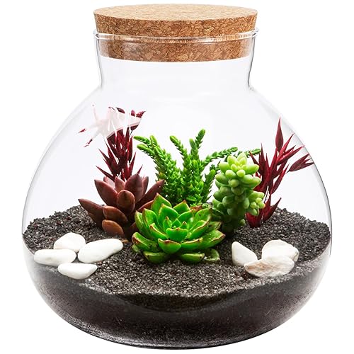 Toddmomy Glass Terrarium Bottle with Cork Lid, Closed Micro Landscape