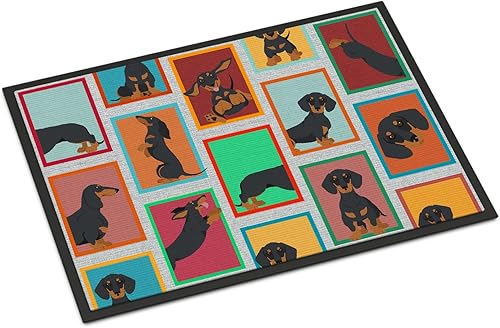 Vista 272 de Caroline's Treasures MLM1087MAT - Felpudo de perro de montaña bernés de 18 x 27 pulgadas, para interiores y exteriores, para entrada, Bernese