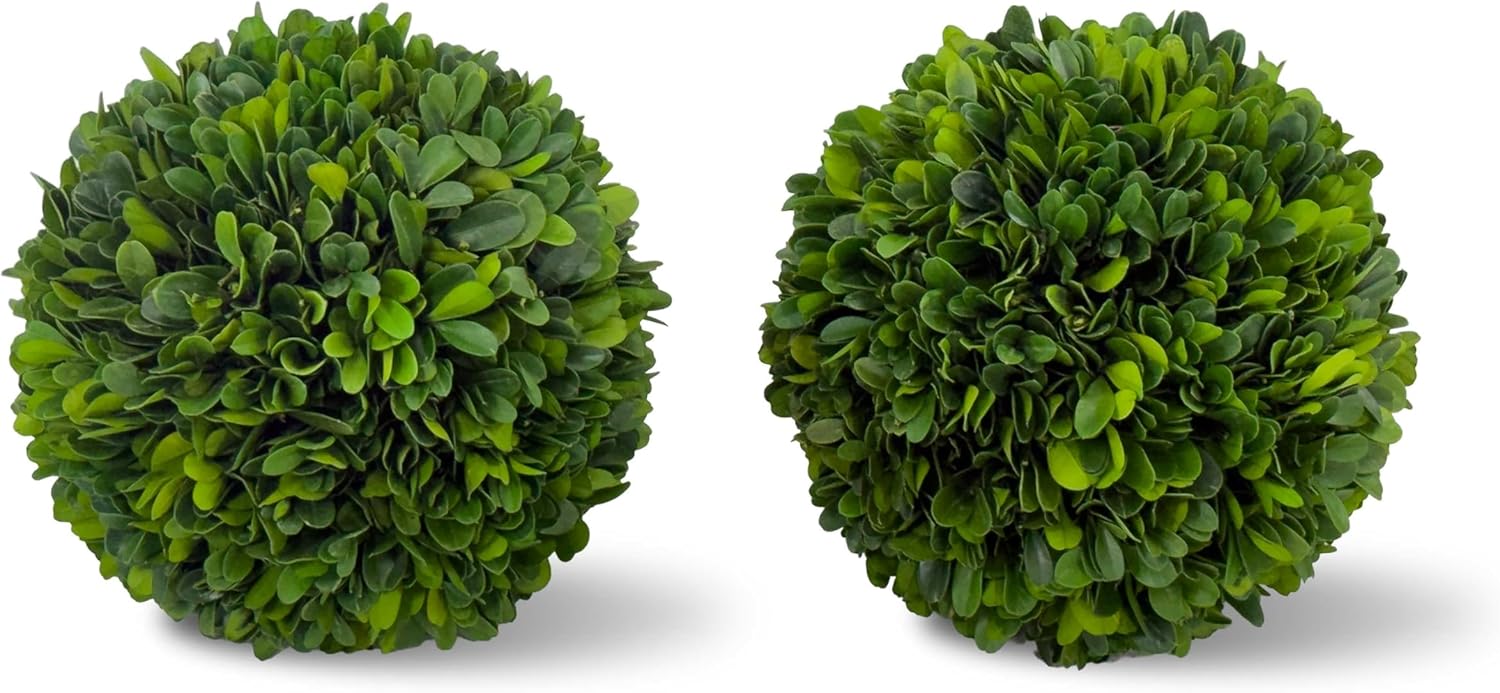 Shine Company 6" Real Preserved Boxwood Topiary Ball (Set of 2)